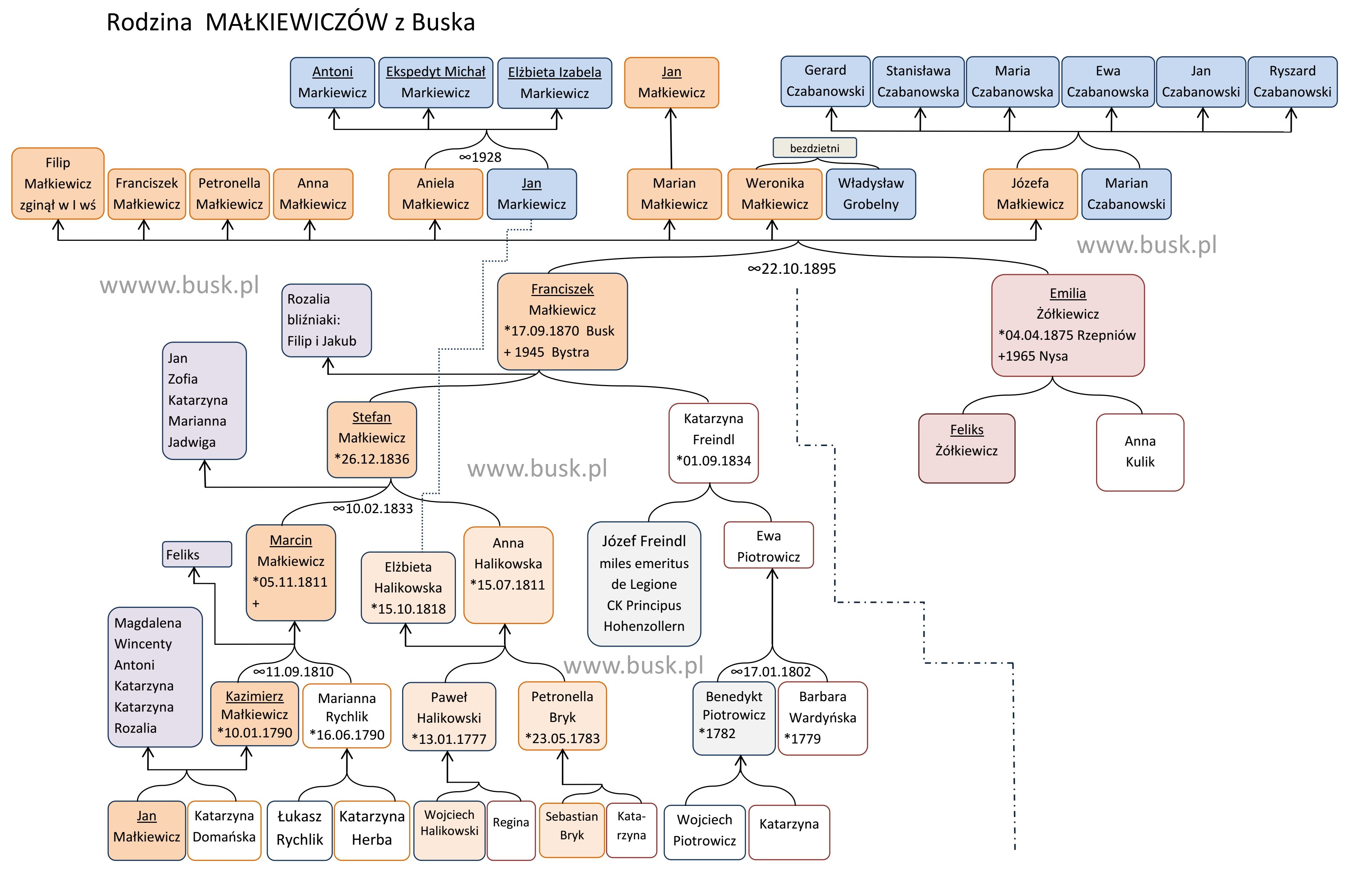 Drzewo Ma�kiewicz�w