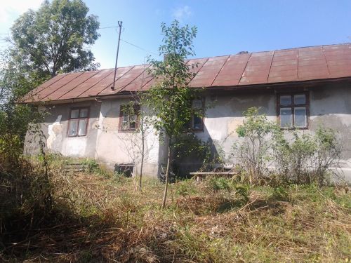 dominikanów22A.jpg